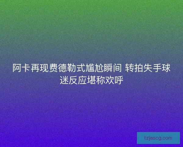 阿卡再现费德勒式尴尬瞬间 转拍失手球迷反应堪称欢呼 阿卡再现费德勒式尴尬瞬间 转拍失手球迷反应堪称欢呼
